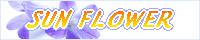 SUN FLOWER(RAY�l)