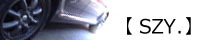 �ySZY.�z(��傤���l)���g�ѕ\����